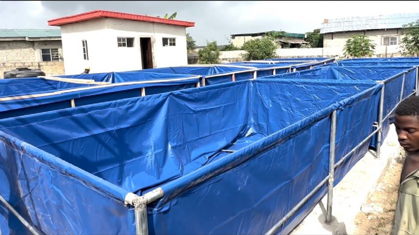 Kastamonu Brandacı Gölet Su Yalıtım Brandası Gölet Branda Kaplama Kastamonu Brandacı Gölet Su Yalıtım Brandası Gölet Branda Kaplama