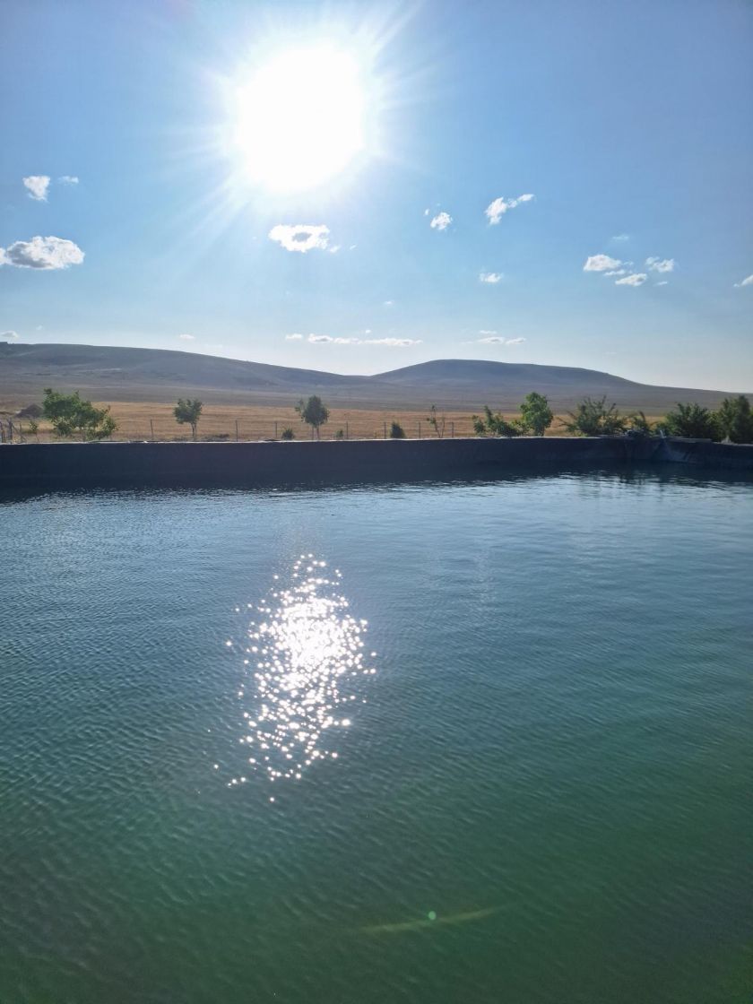 Mardin Havuz Brandacısı Özel Ölçü Havuz Brandası