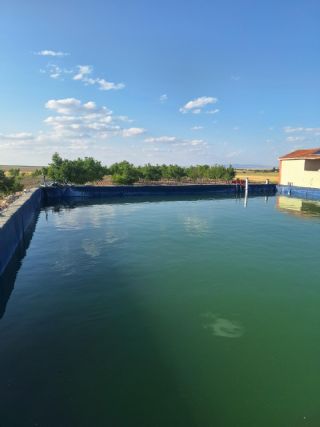 Malatya Havuz Brandacısı Özel Ölçü Havuz Brandası